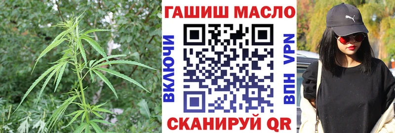 Дистиллят ТГК THC oil  Купить закладки  Калининград 